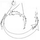 Image for article titled Fish Learn To Use Tools, So Let's Rethink the Definition of Tool Use